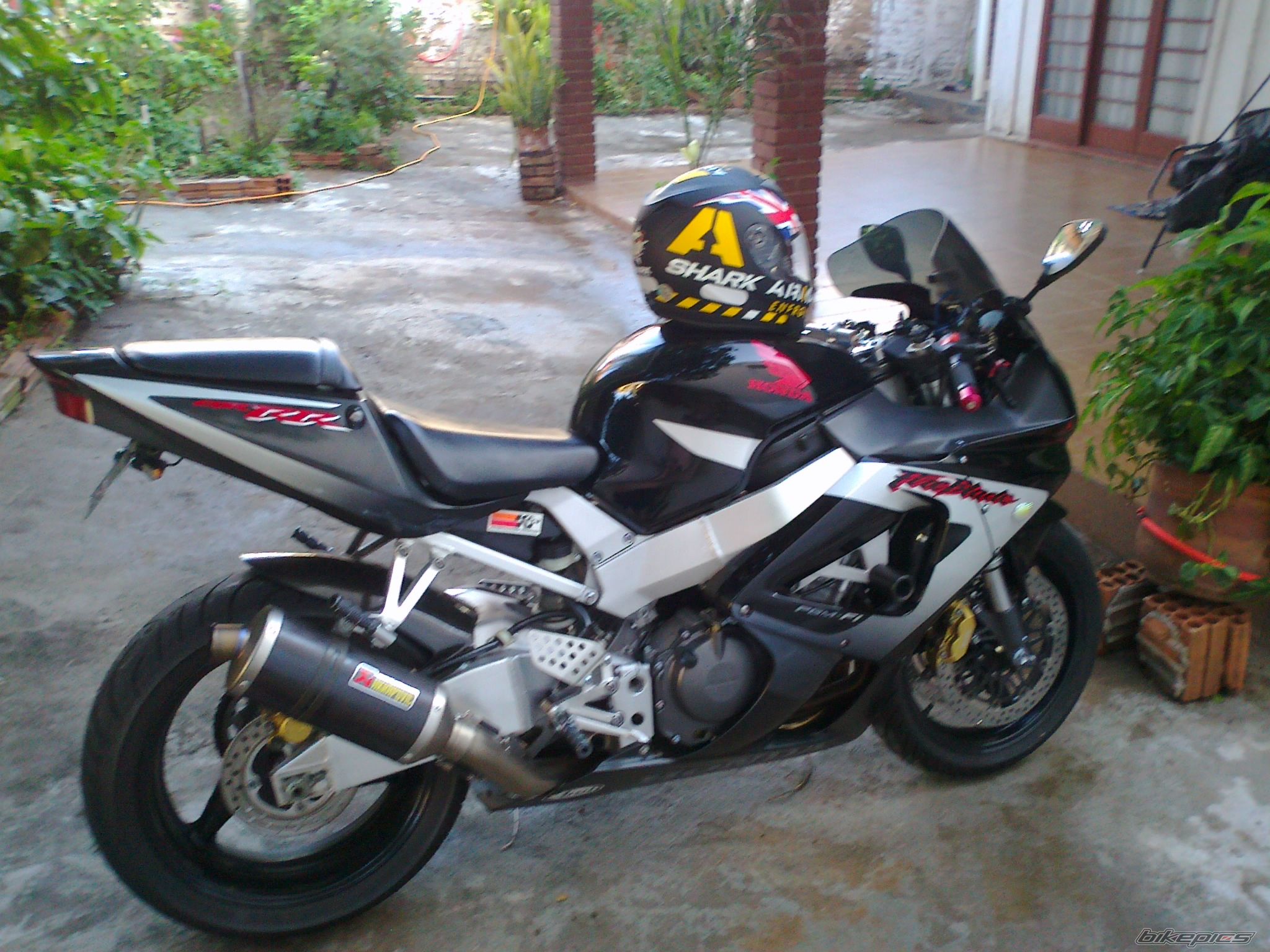 Photo 2495211