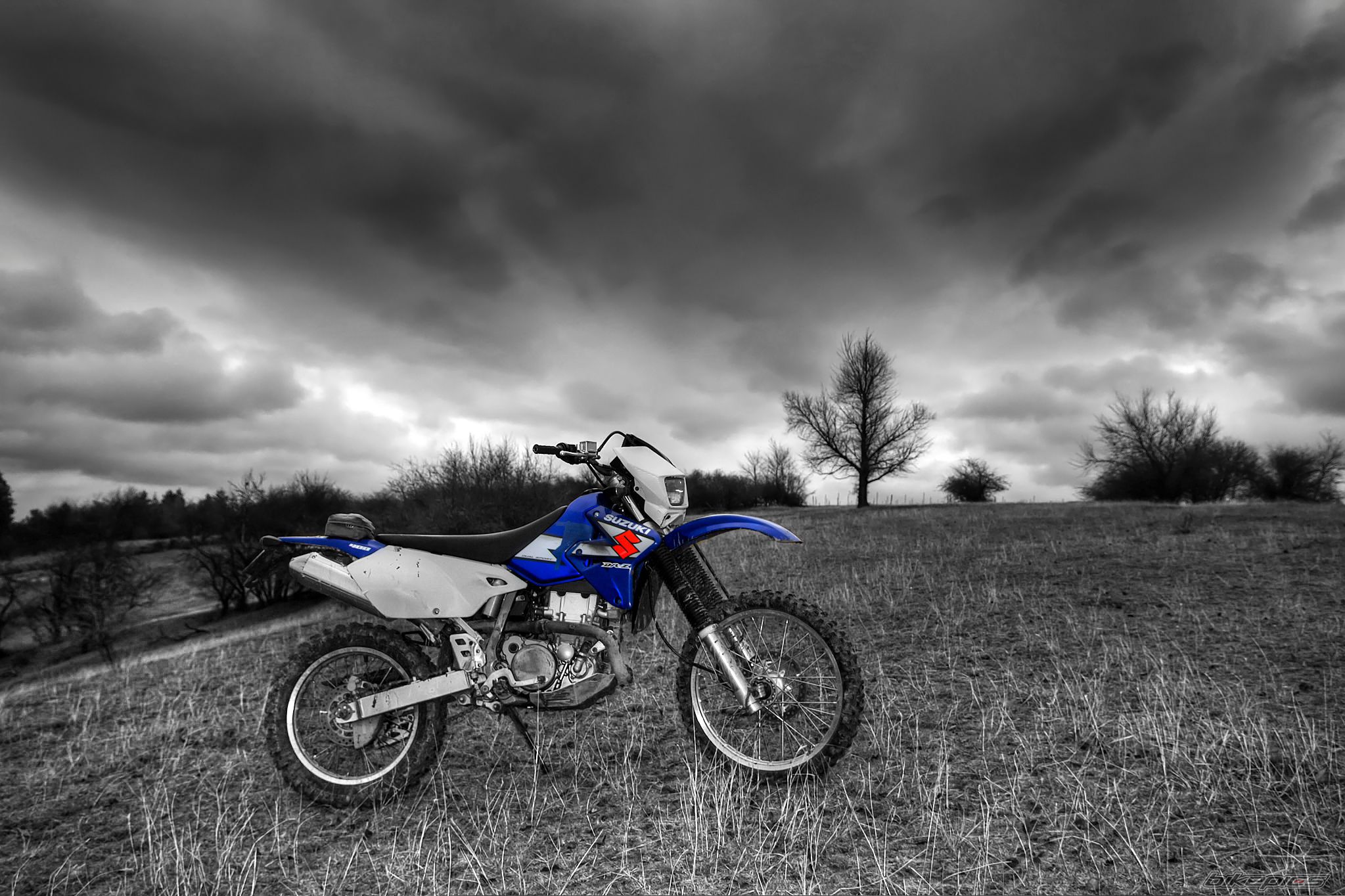 Photo 2495231