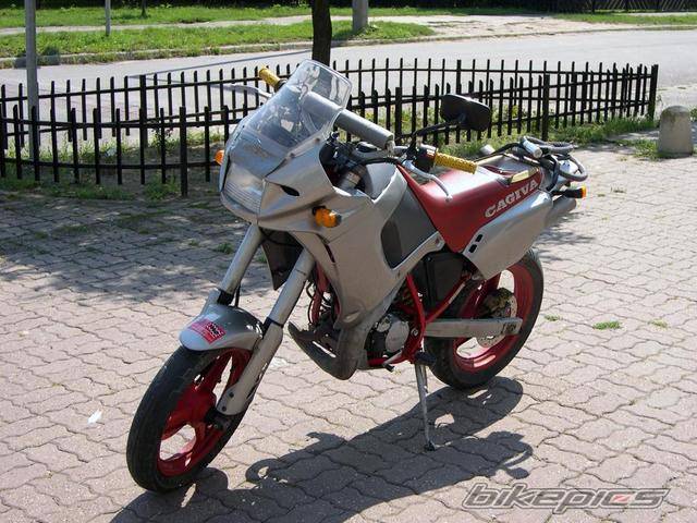 Photo 249525
