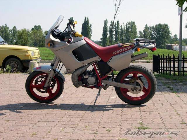 Photo 249526