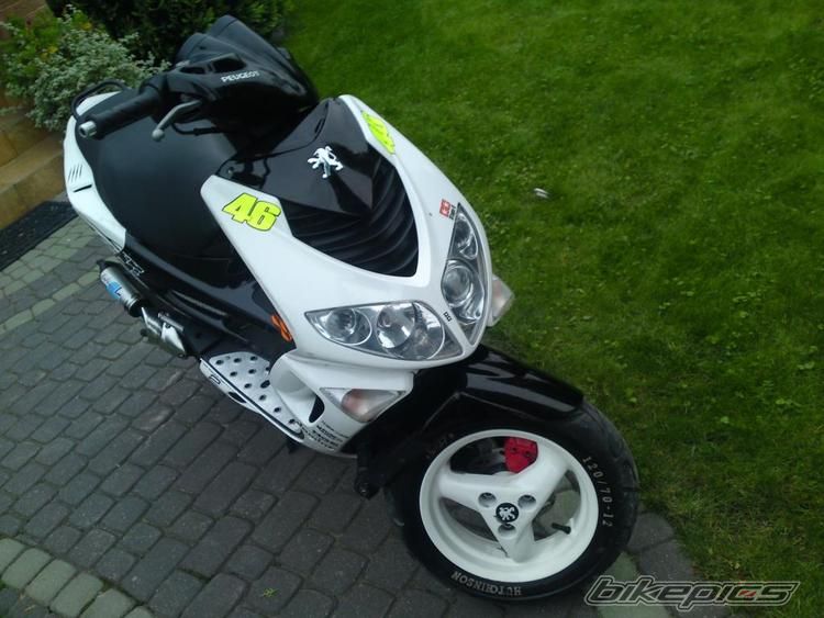 Photo 2495329