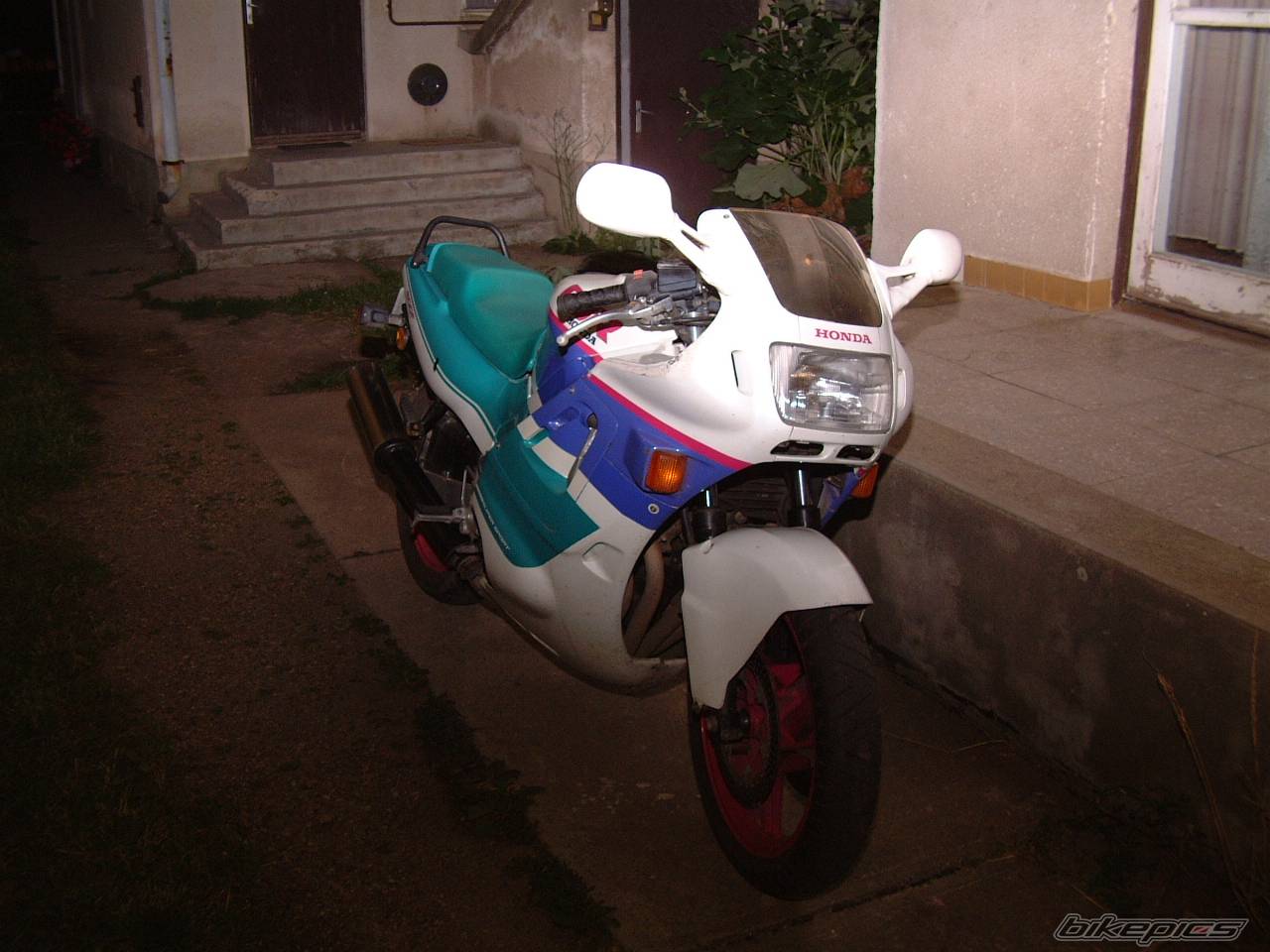 Photo 249539