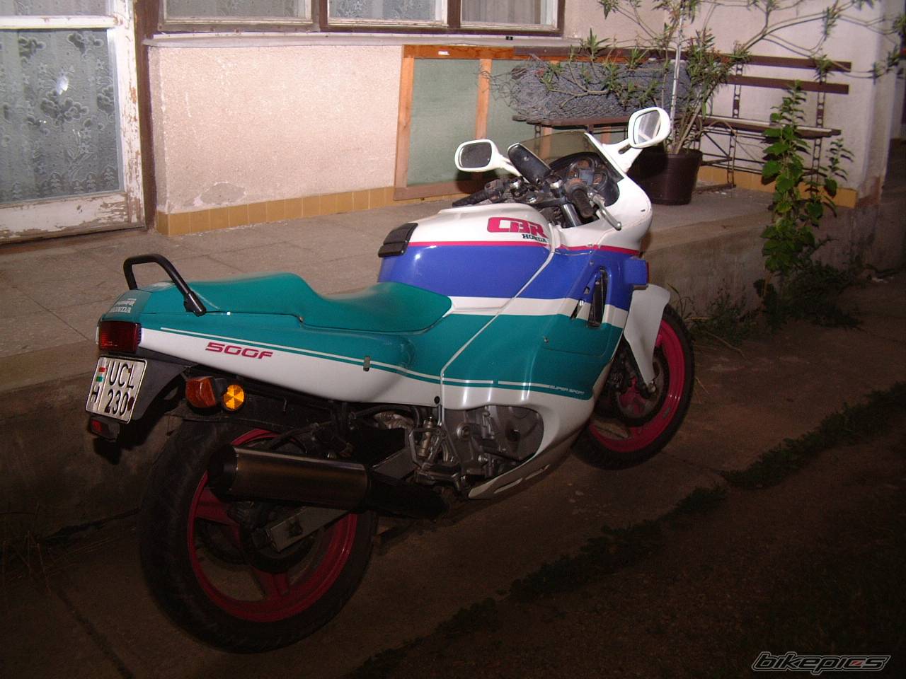 Photo 249540