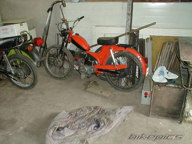 Photo 249546