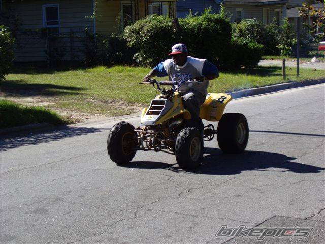 Photo 249548