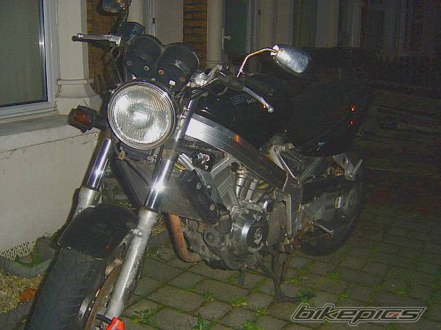 Photo 249558