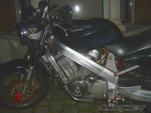 Photo 249559