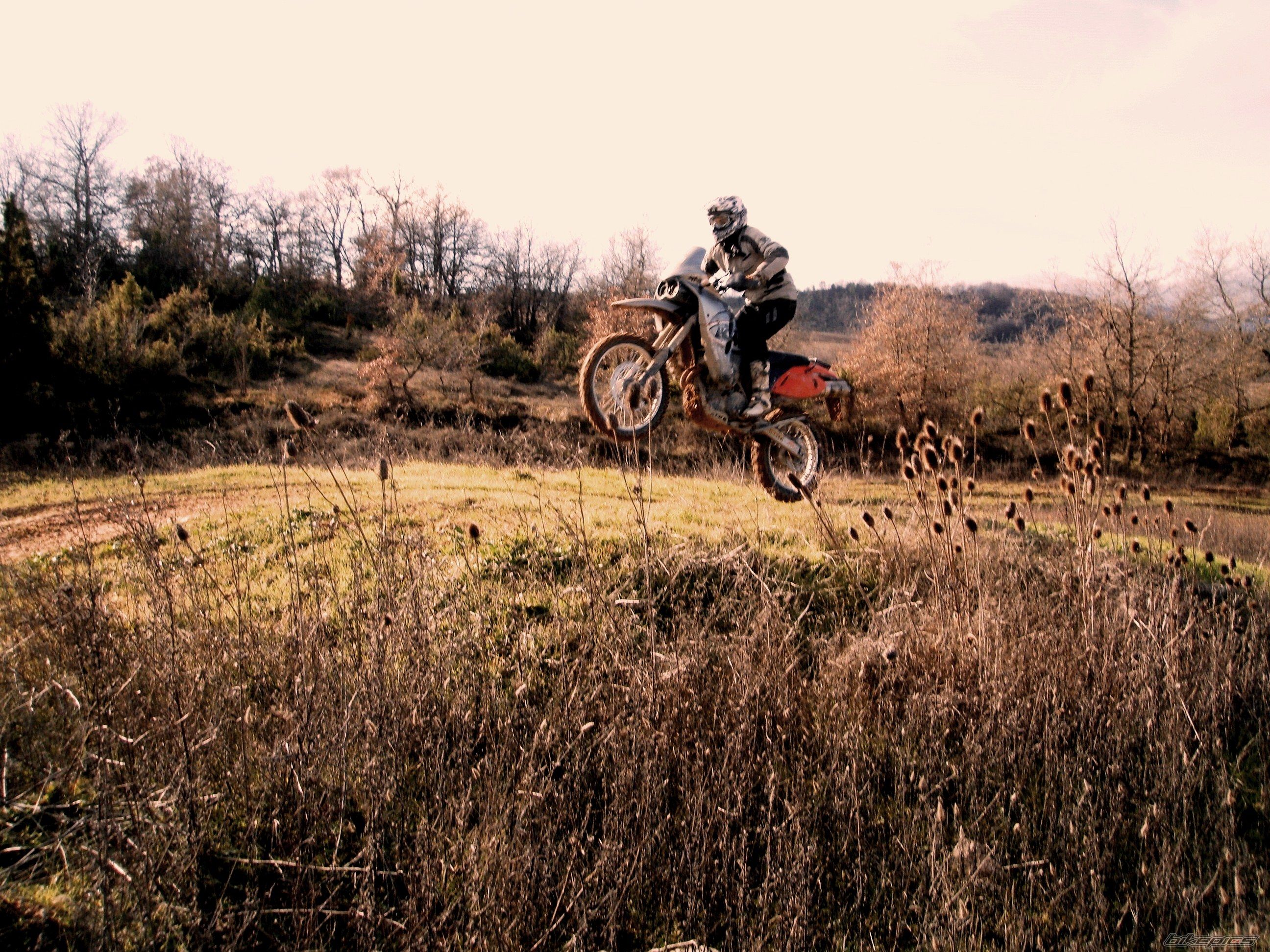 Photo 2495635