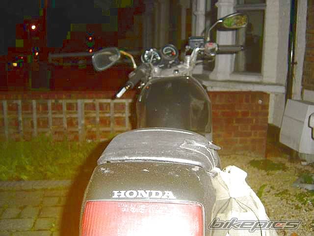 Photo 249564