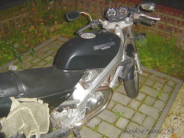 Photo 249565