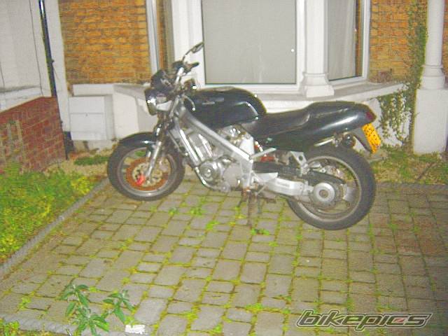 Photo 249570