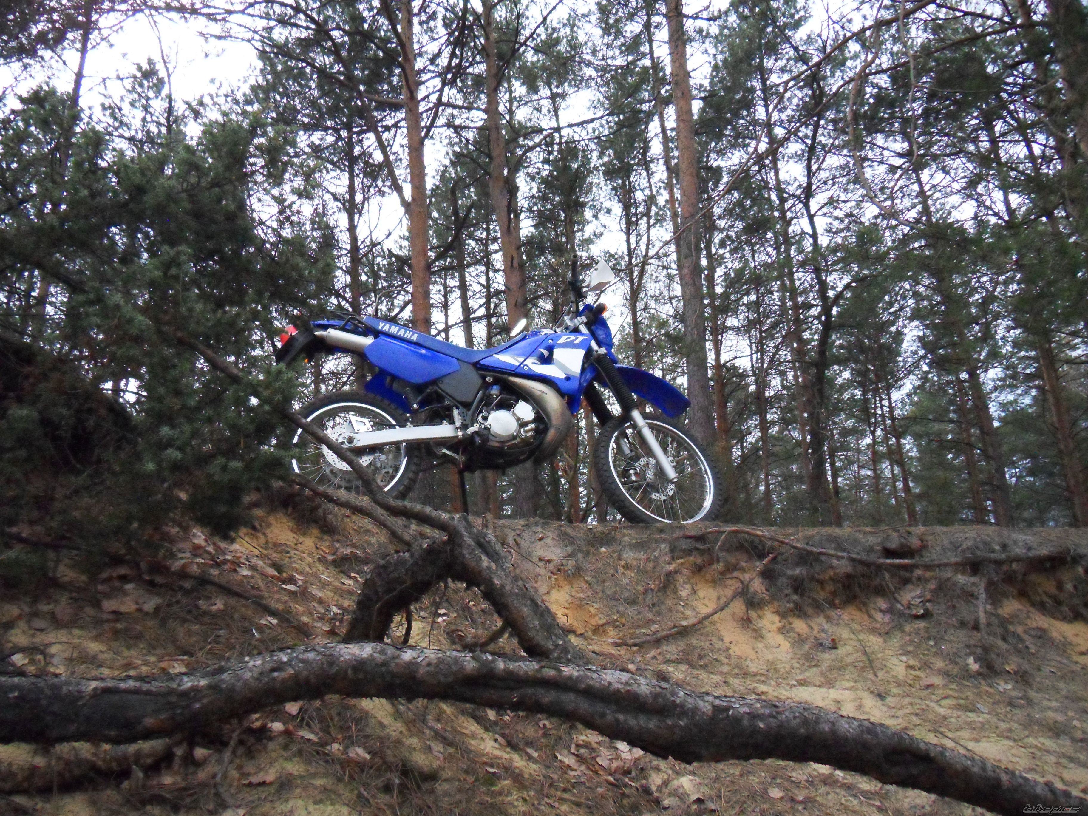 Bike Photo 2495765