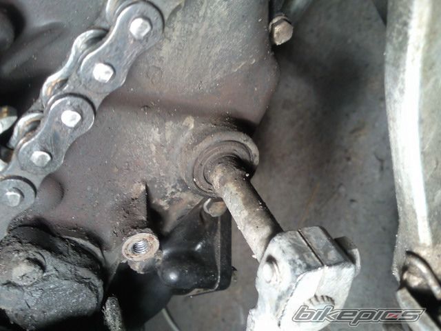 Photo 2495837