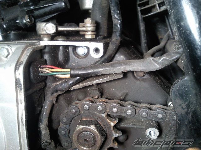 Photo 2495839