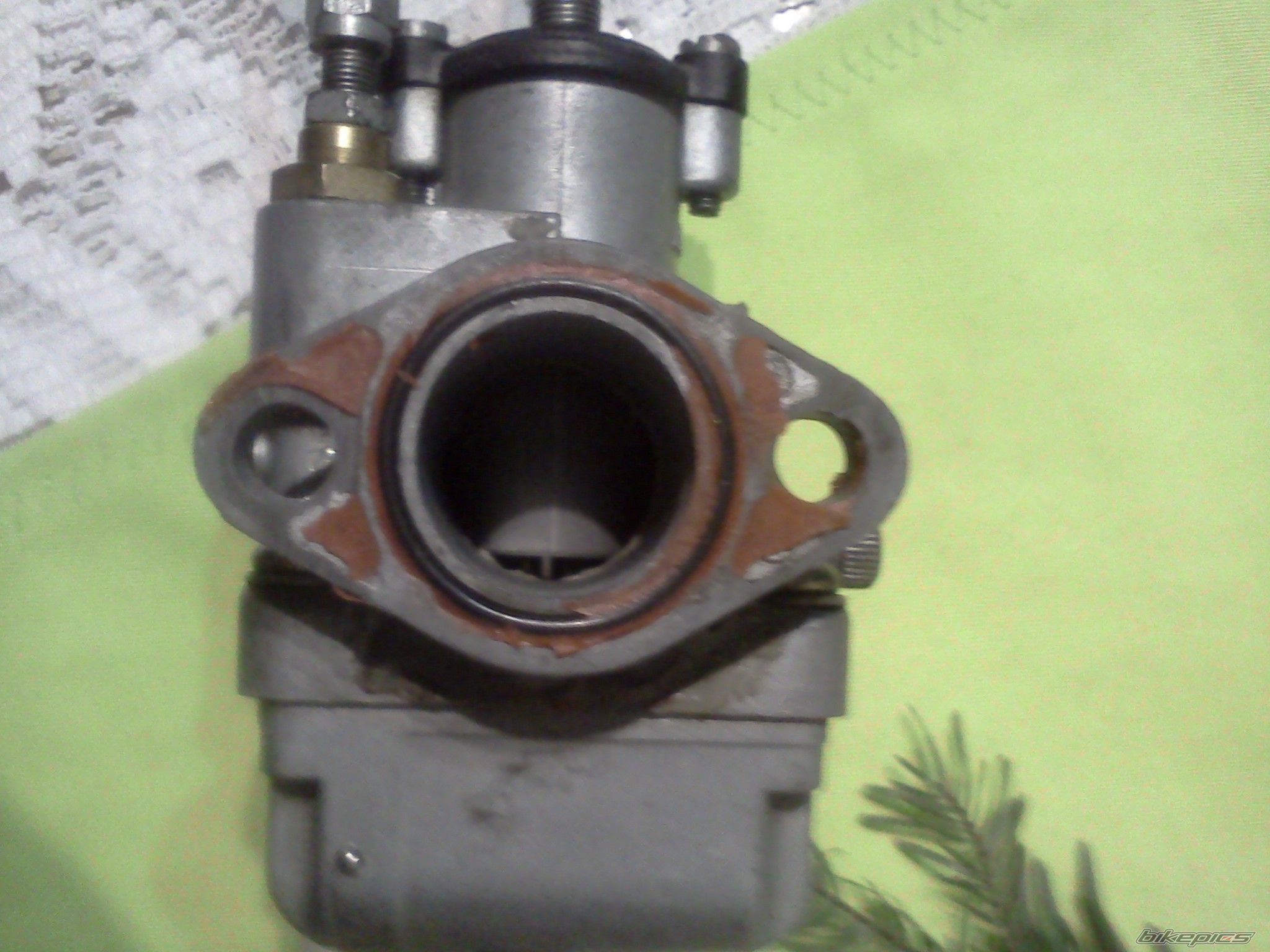 Photo 2496004