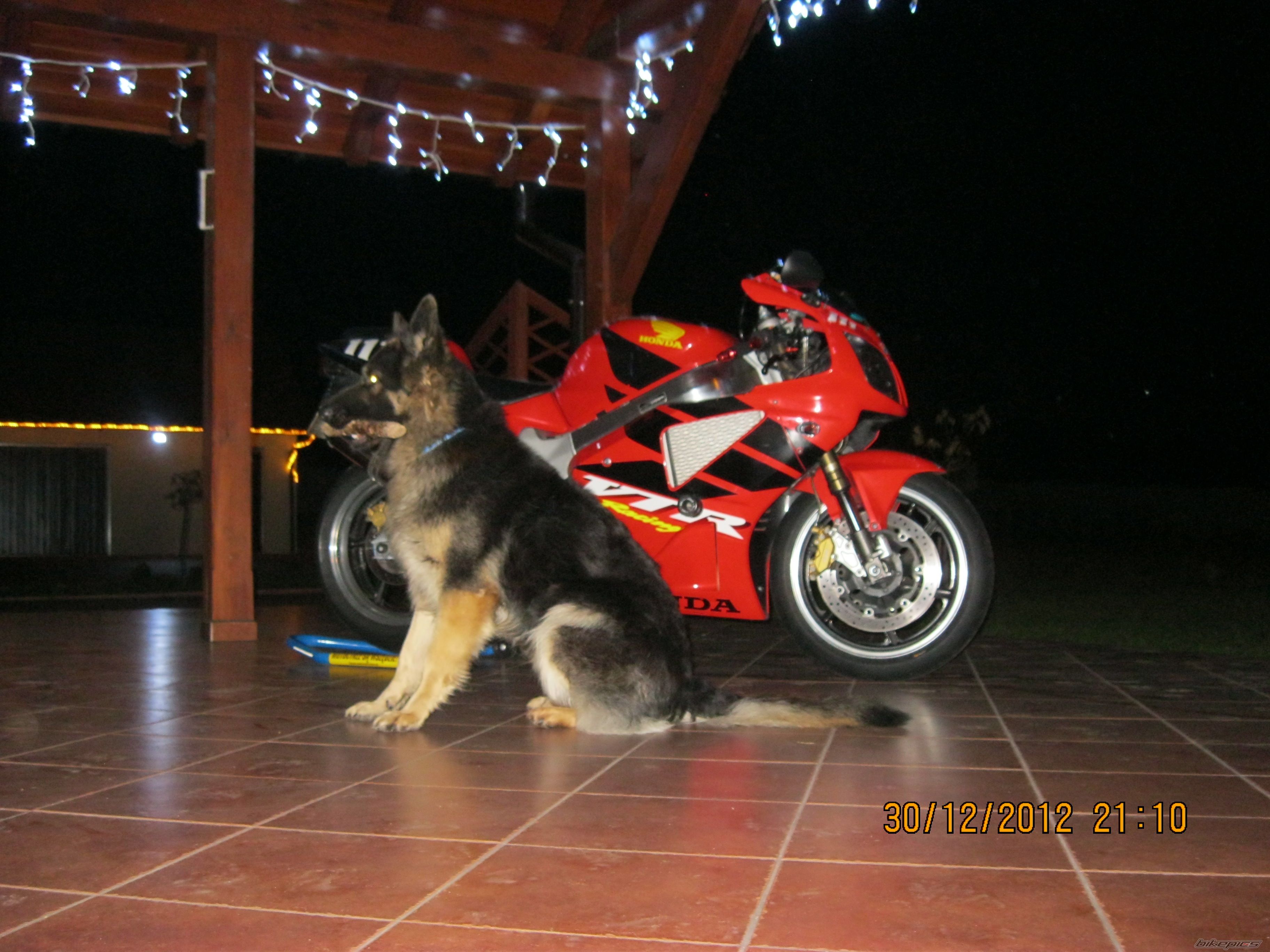 Photo 2496069