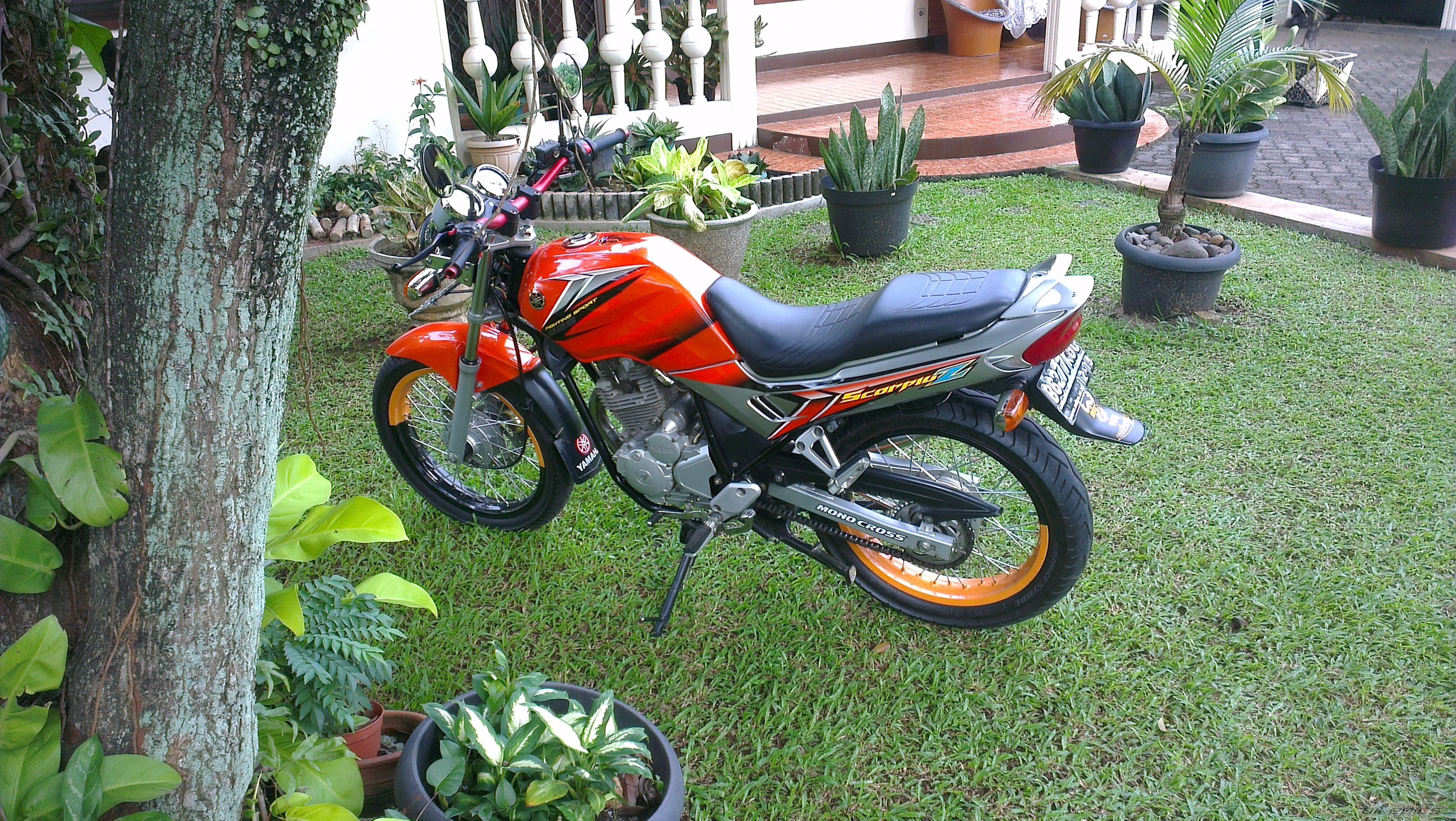 Photo 2496163