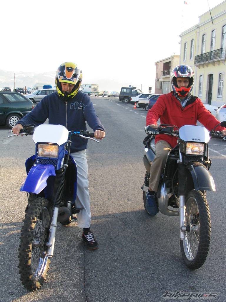 Photo 249621