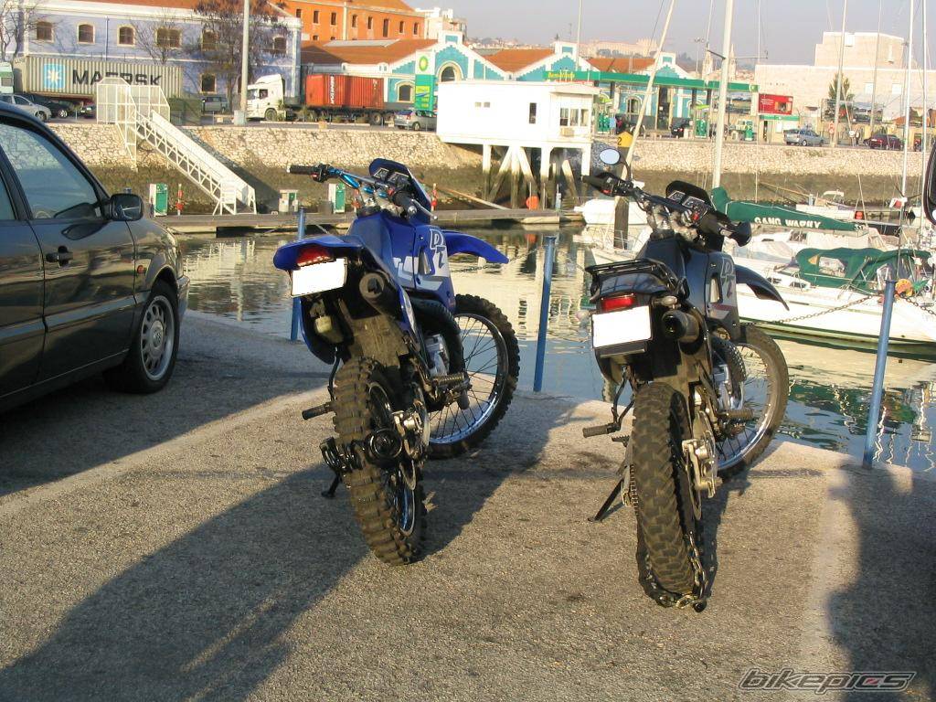 Photo 249627