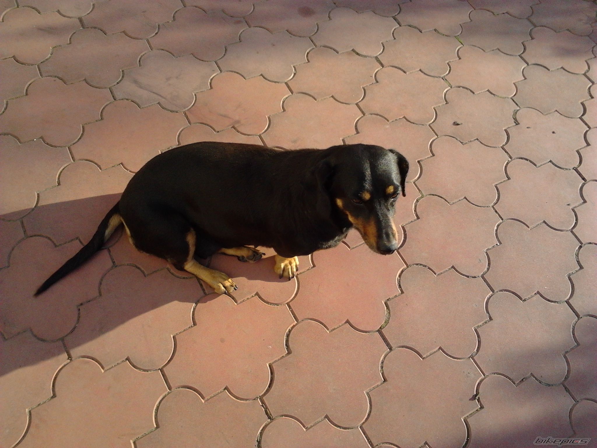 Photo 2496281