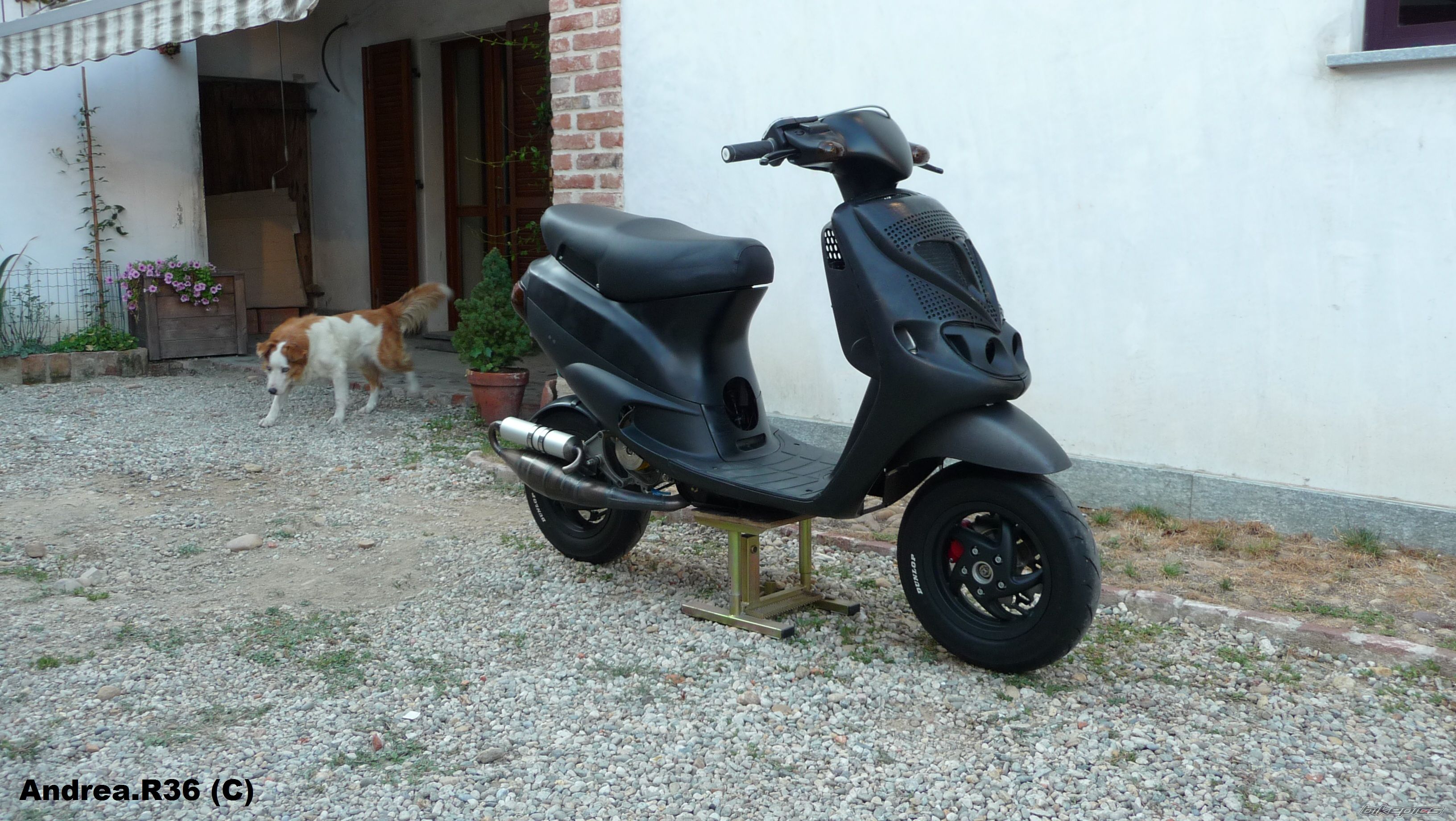 Photo 2496313