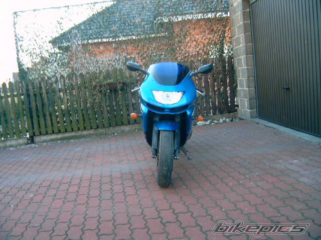 Photo 249632