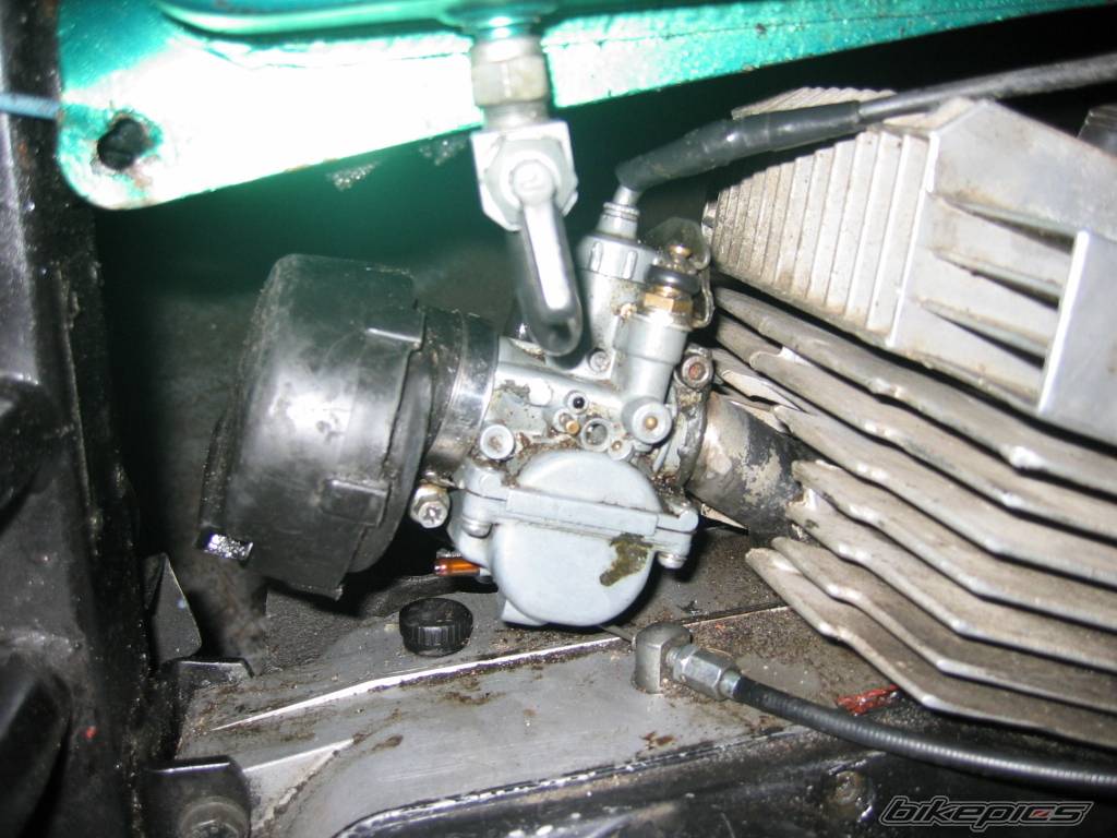 Photo 249635