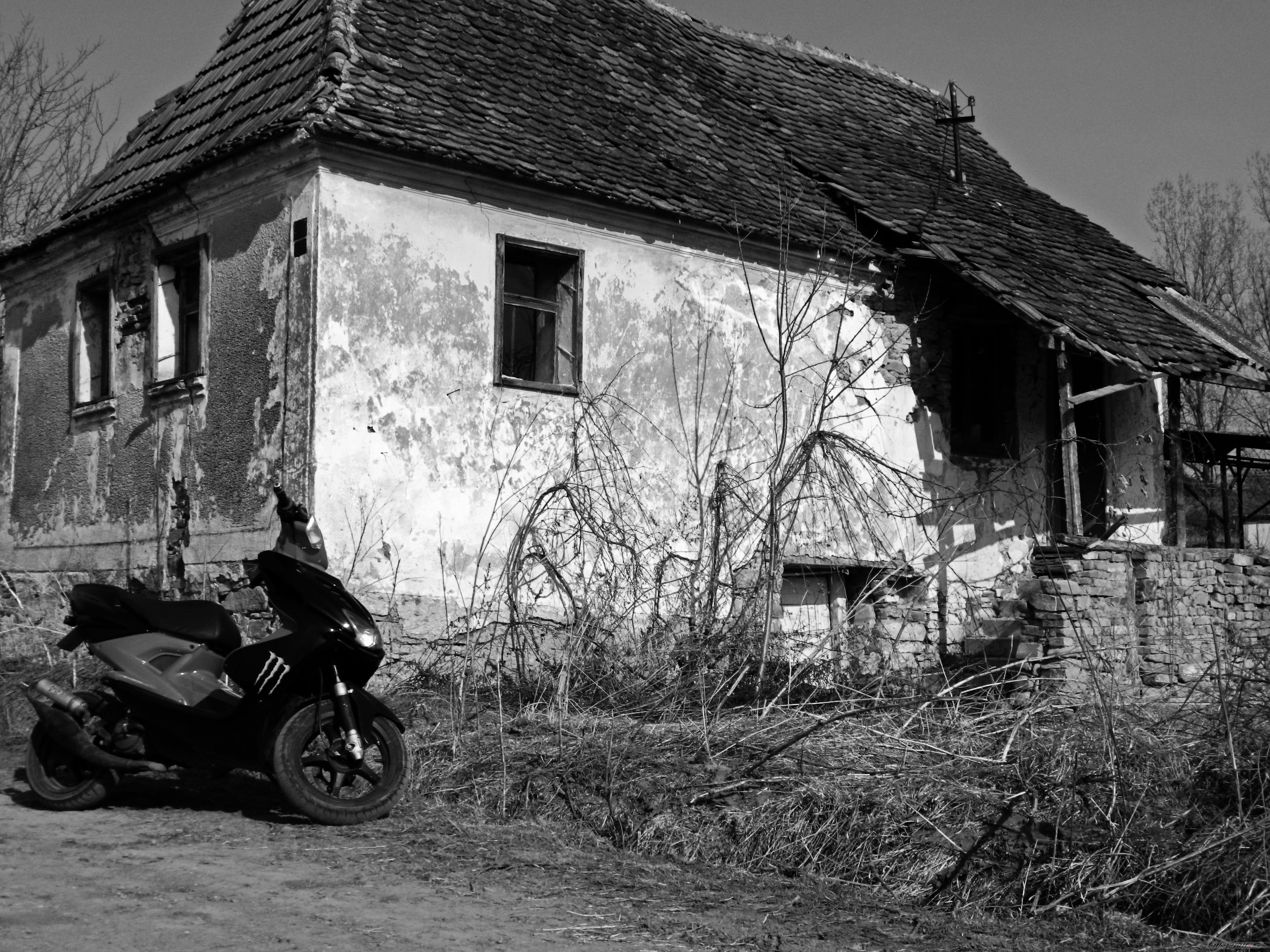 Bike Photo 2496361