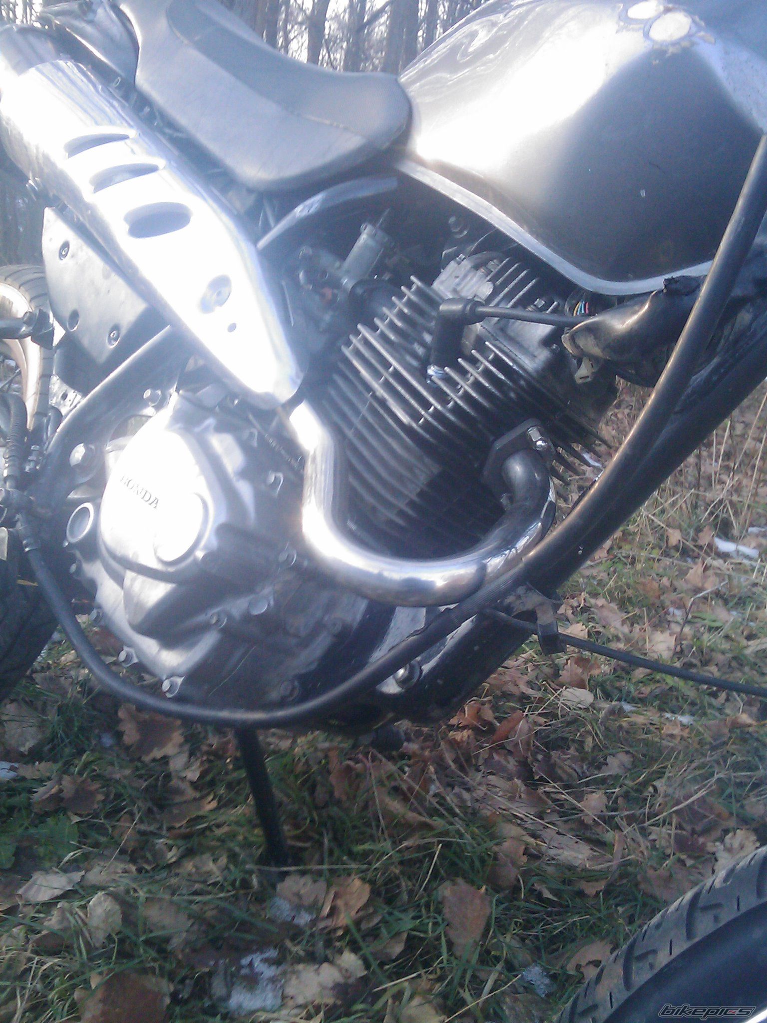 Photo 2496421