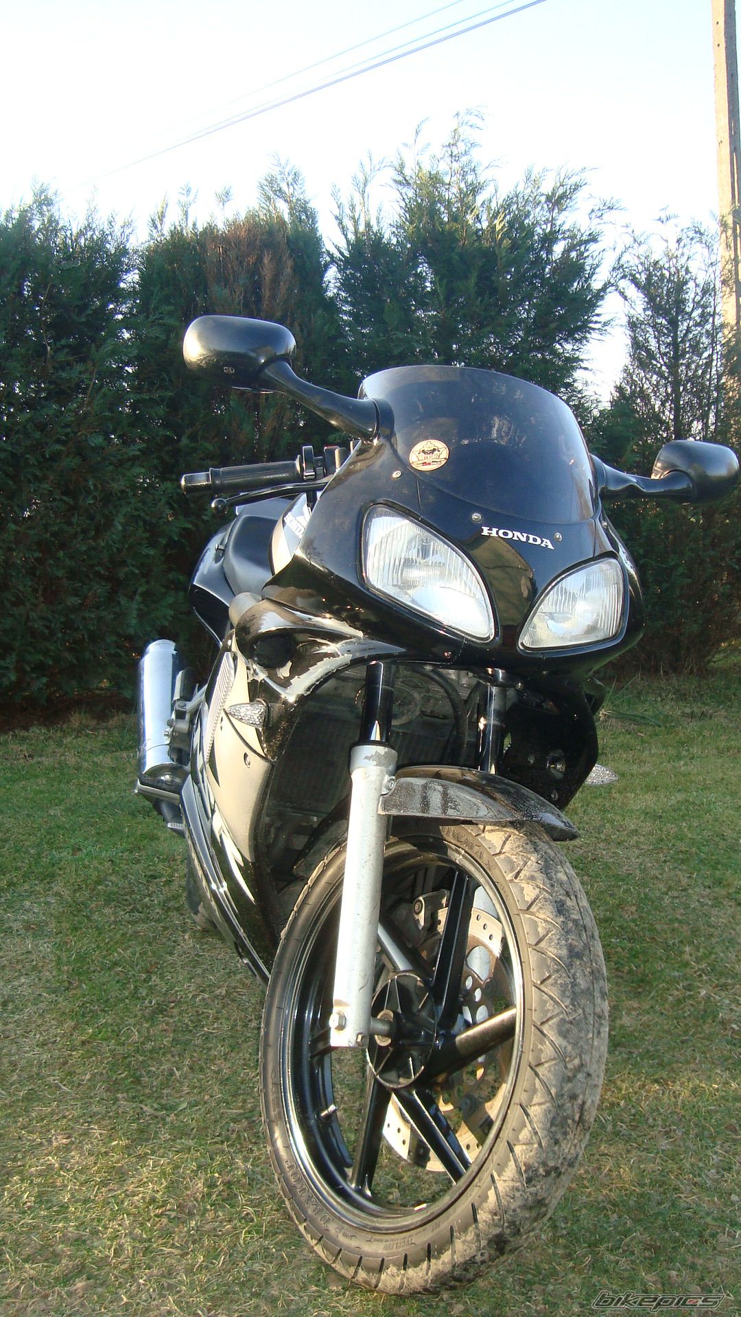 Photo 2496463