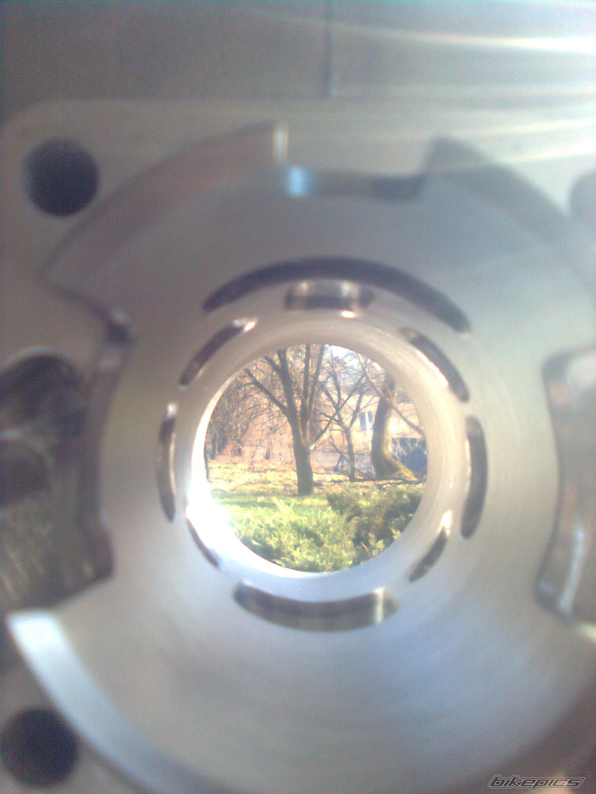 Photo 2496484