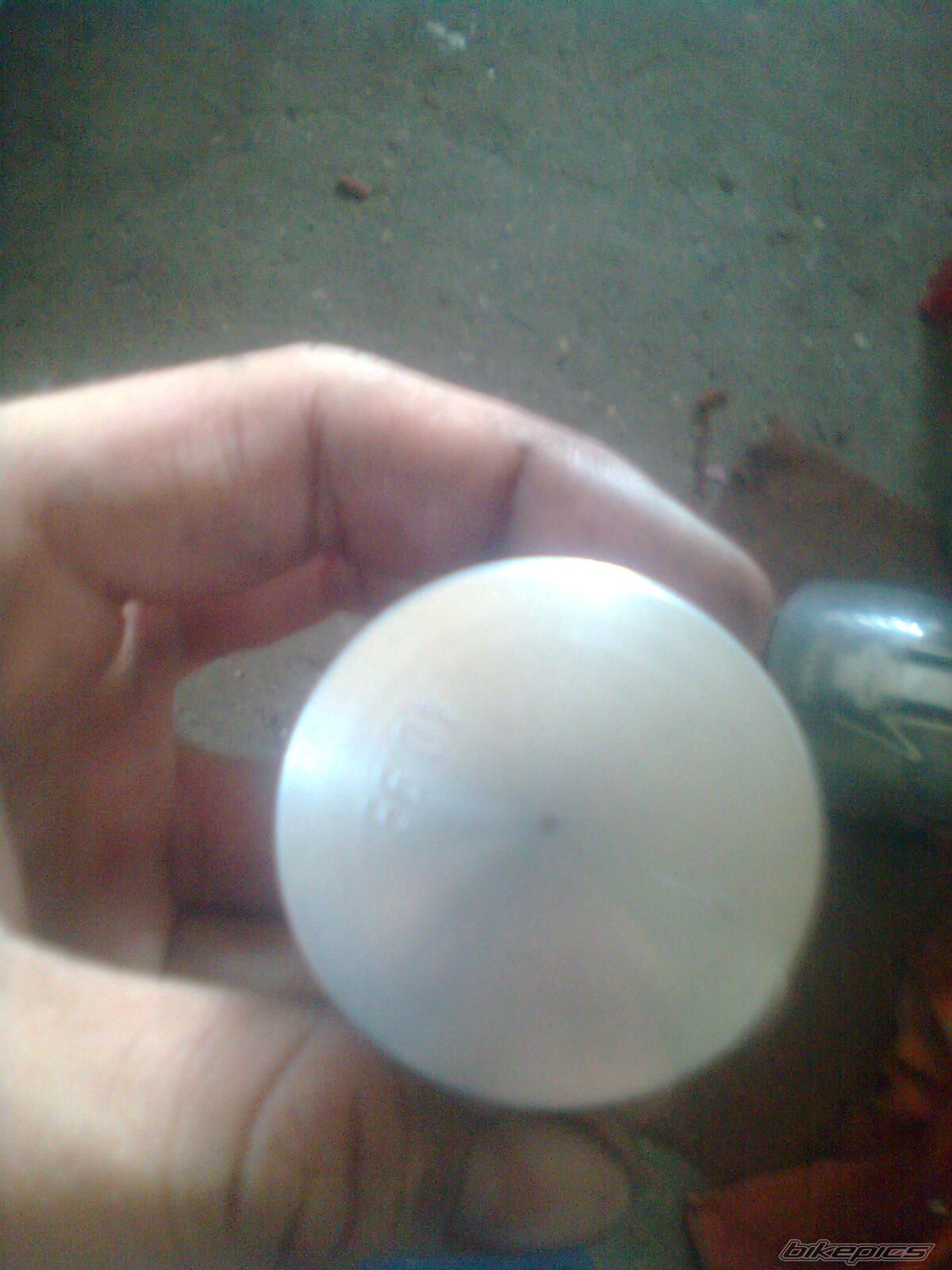Photo 2496489