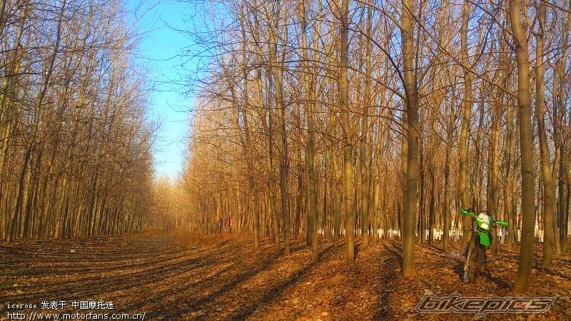 Photo 2496497