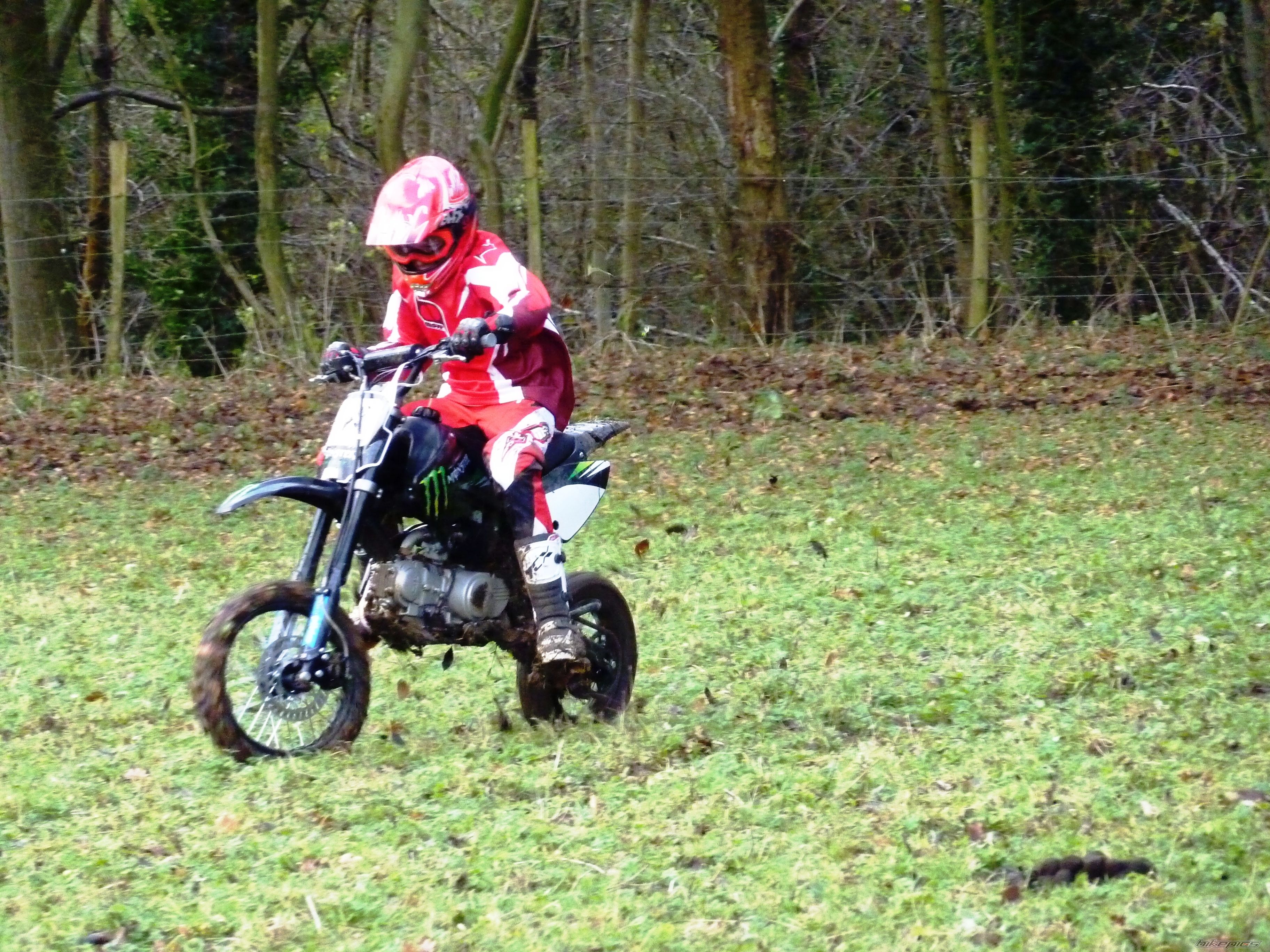 Photo 2496513
