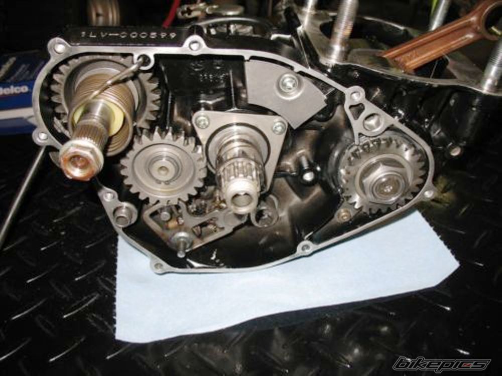 Photo 2496545