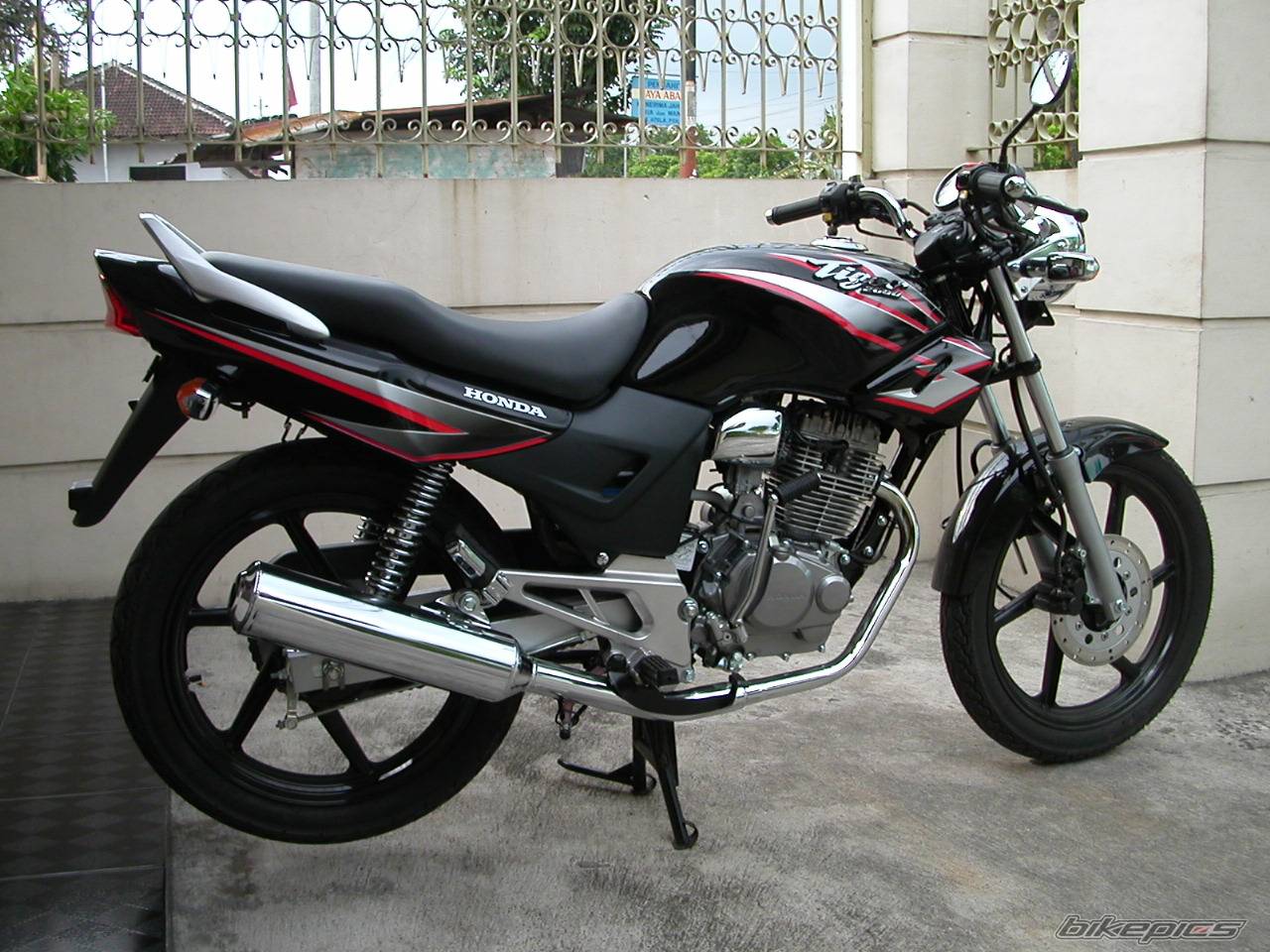Photo 249656