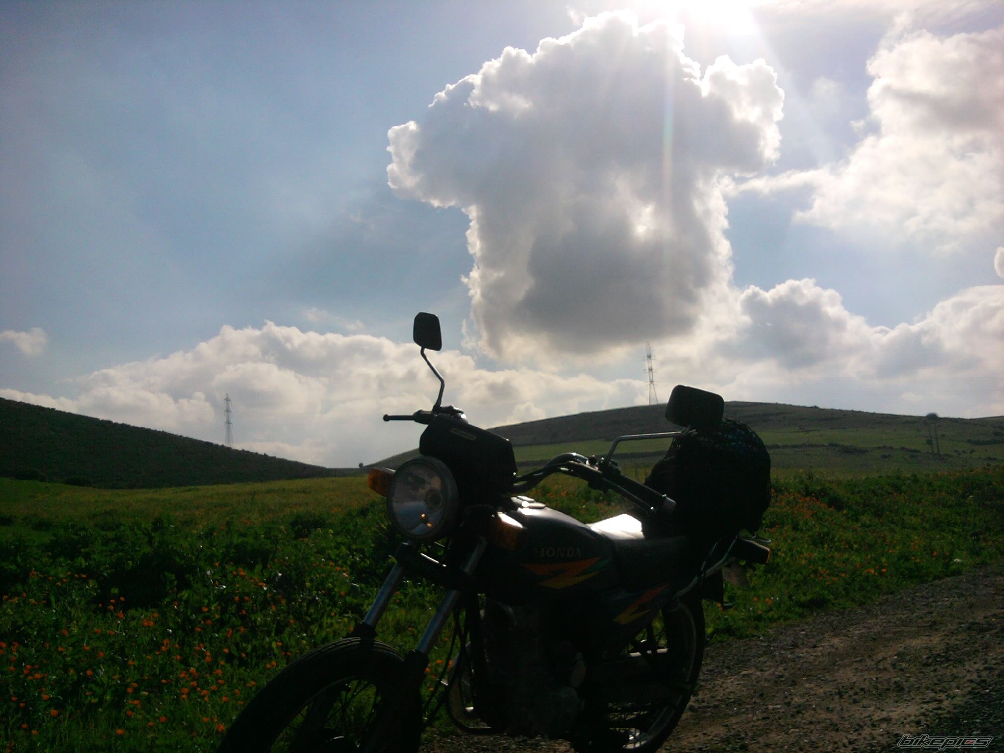 Photo 2496574