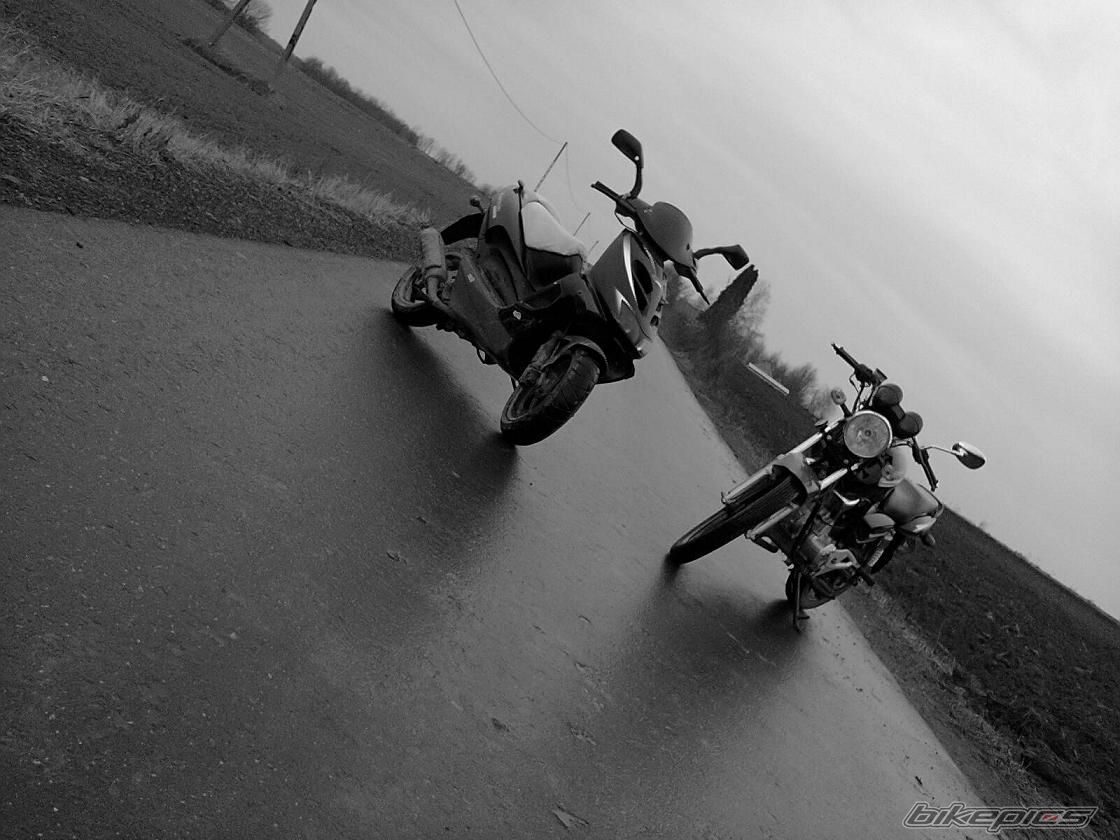 Photo 2496669