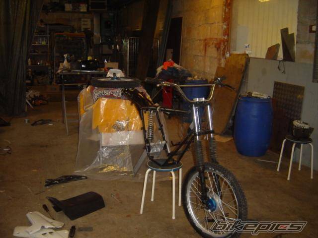 Photo 249668