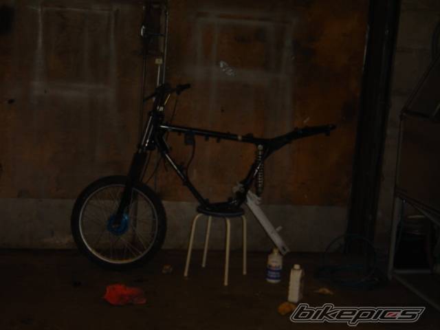 Photo 249670