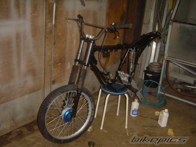 Photo 249671