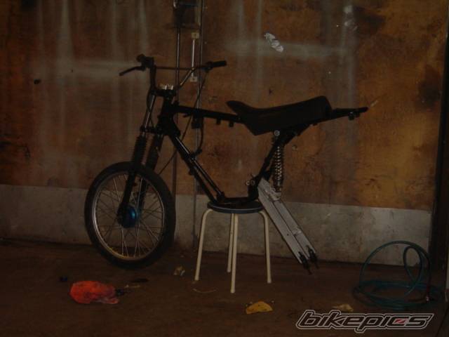 Photo 249673