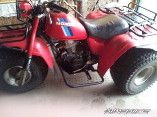 Photo 2496739