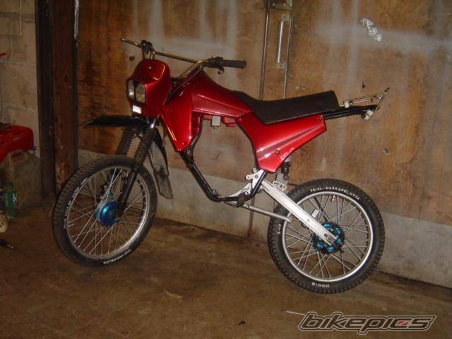 Photo 249677