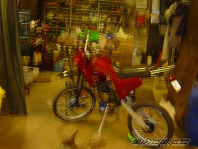 Photo 249678