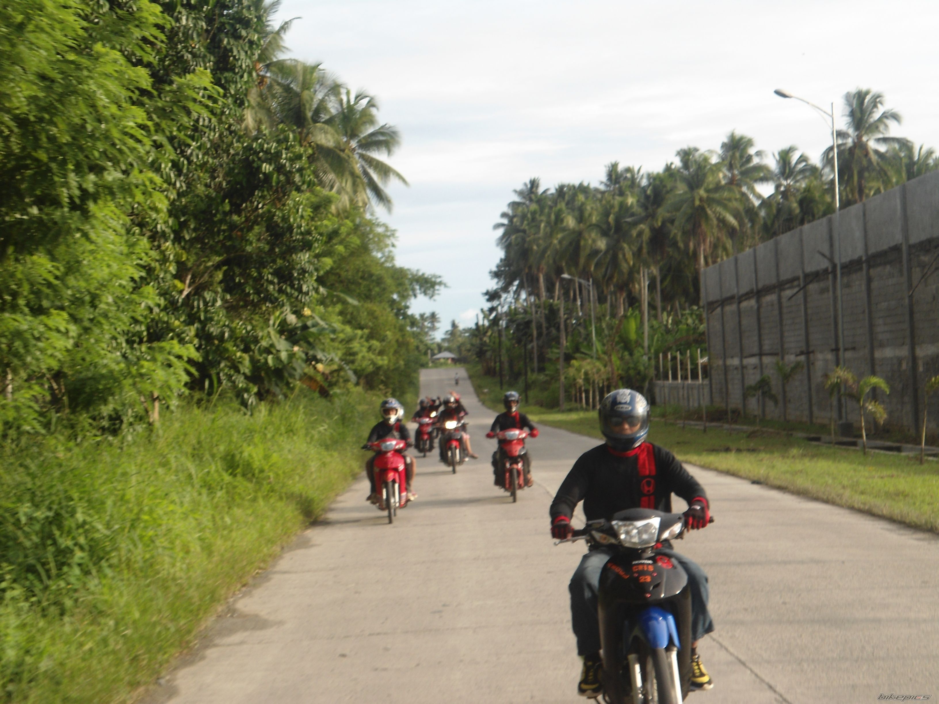 Photo 2496794