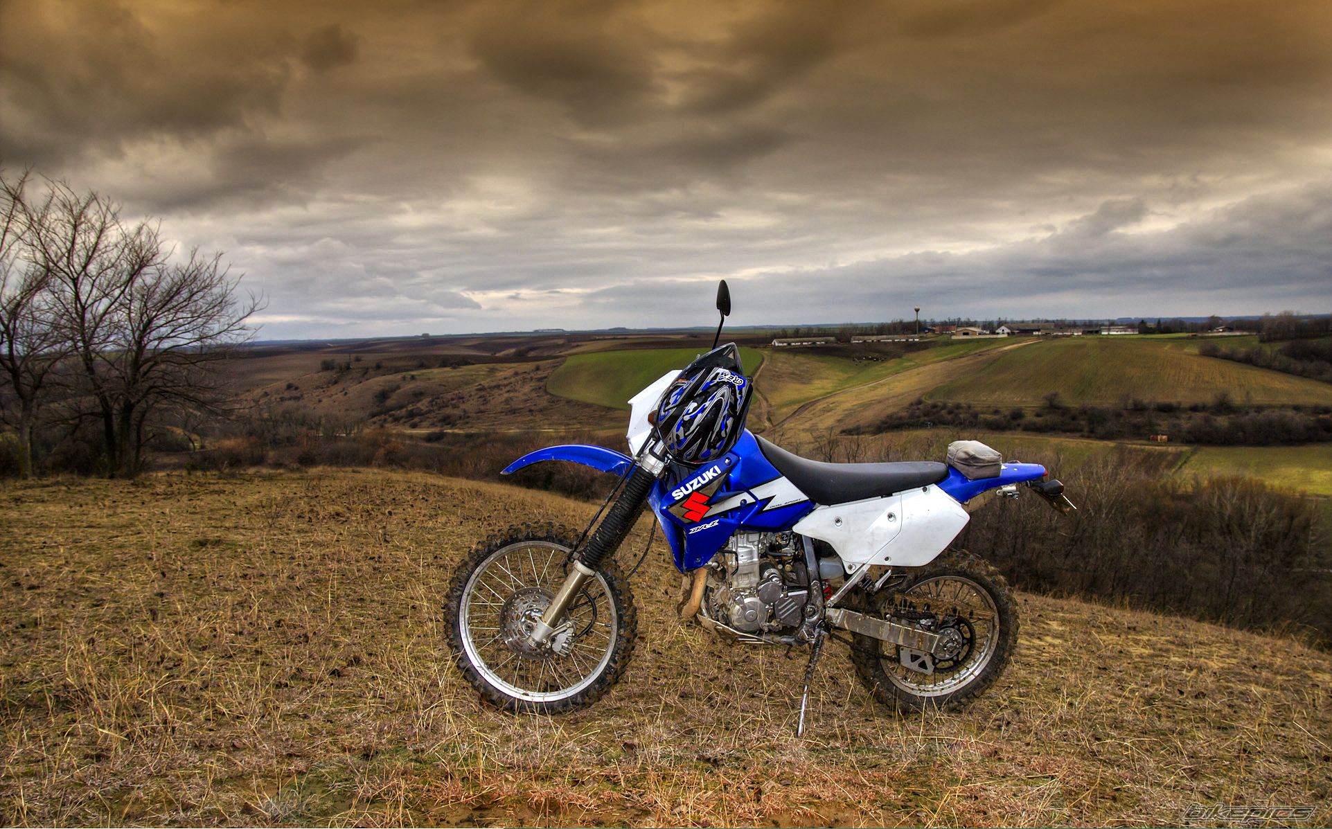 Photo 2496813