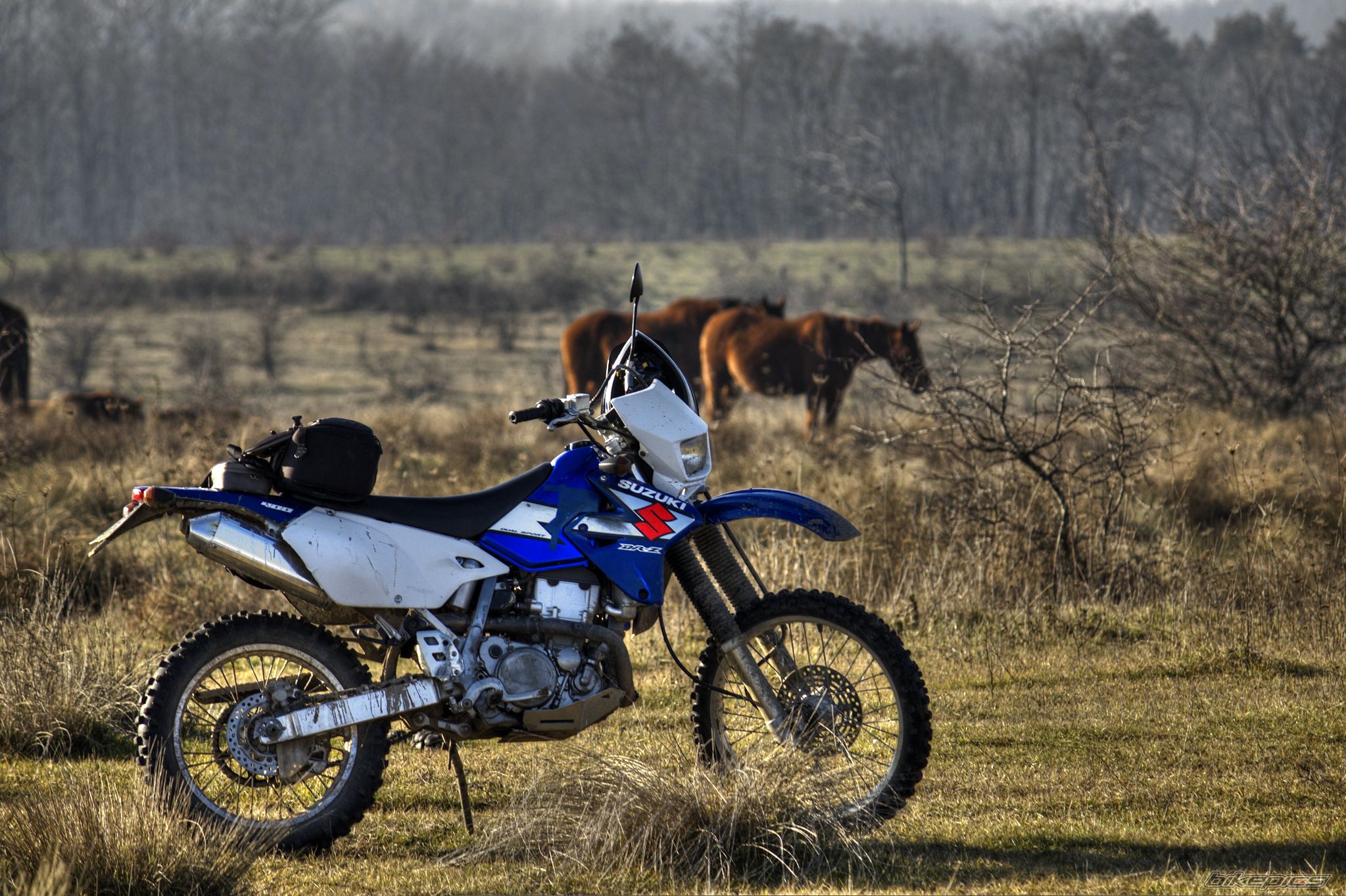 Photo 2496814