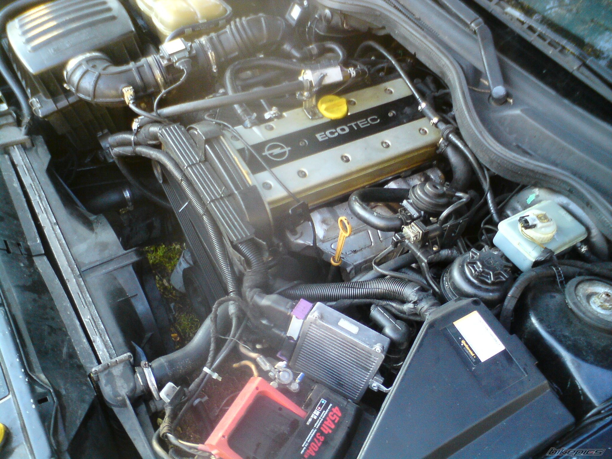 Photo 2496882