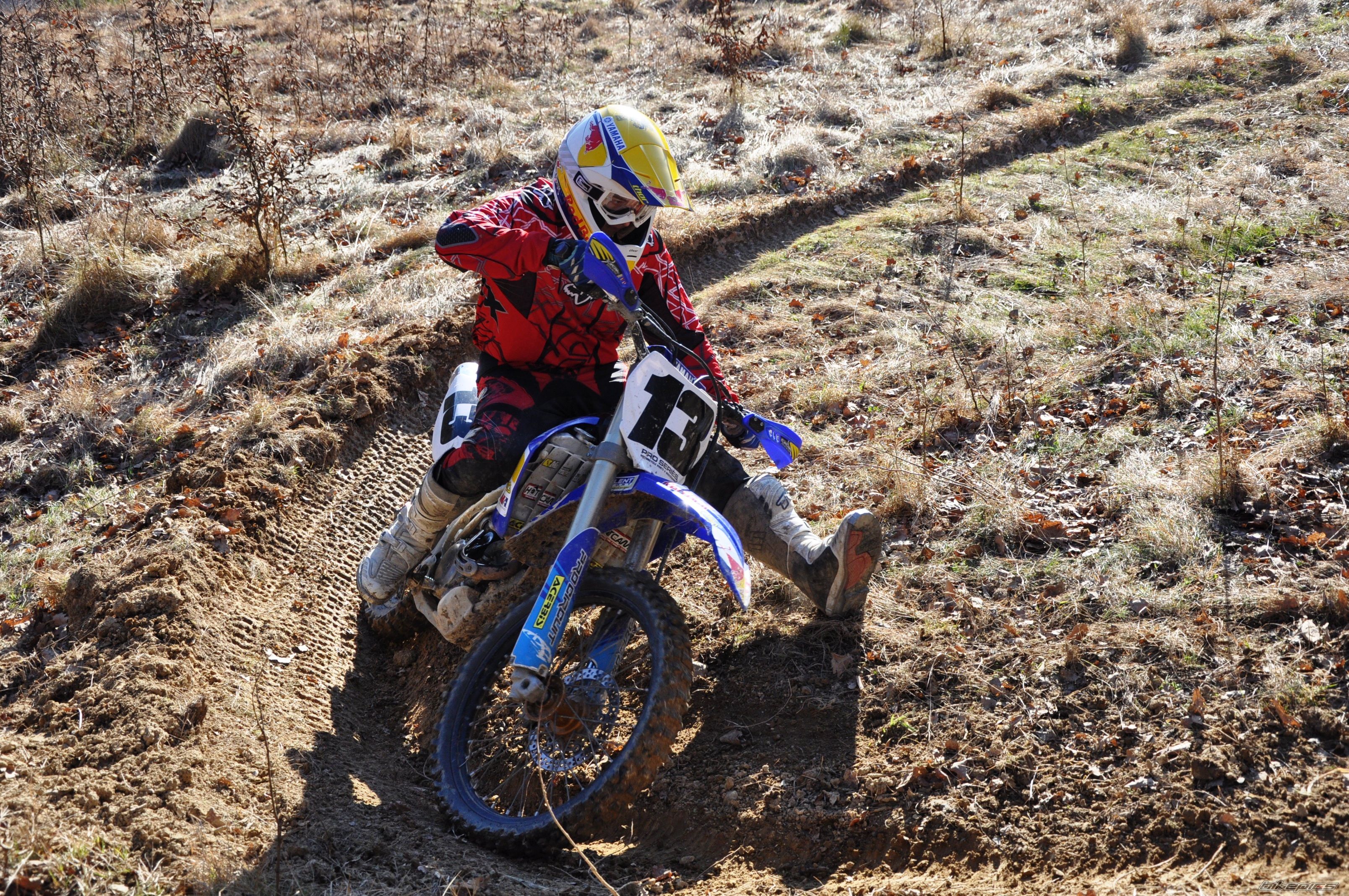 Photo 2496975